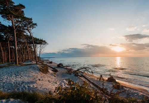 Ingyenes stockfotó festői, naplemente, strand témában