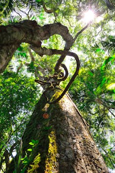 Worm's Eye View of Brown Tree during Daytime