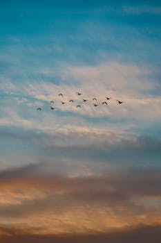一只迷人的鸟儿飞过黄昏时多彩的天空，天空中飘着戏剧性的云