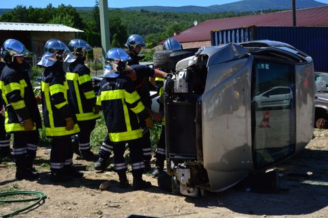 Understanding Other Than Collision Coverage Meaning & Policy