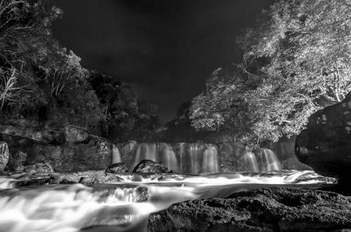 Immagine gratuita di acqua, alberi, bianco e nero