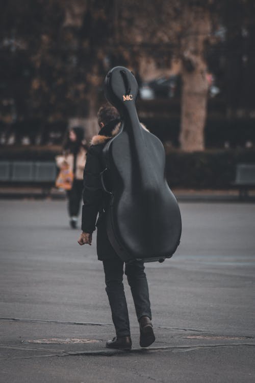 Gratis stockfoto met achteraanzicht, cello, dragen