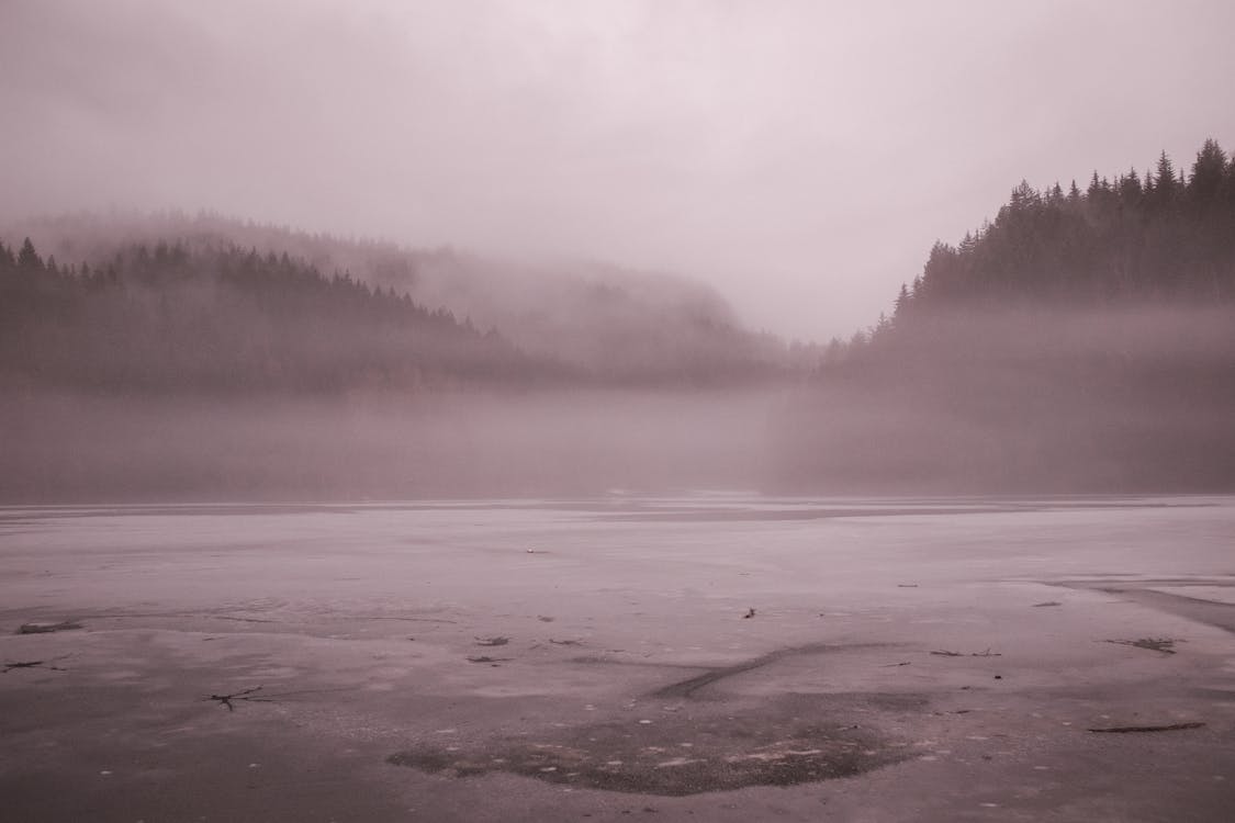 Free stock photo of canada, fog, lake