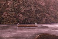 A serene winter scene of a frozen dock amidst a dense, frosty forest.