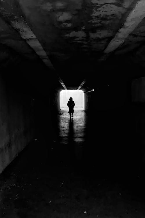 Základová fotografie zdarma na téma černobílý, chůze, horor