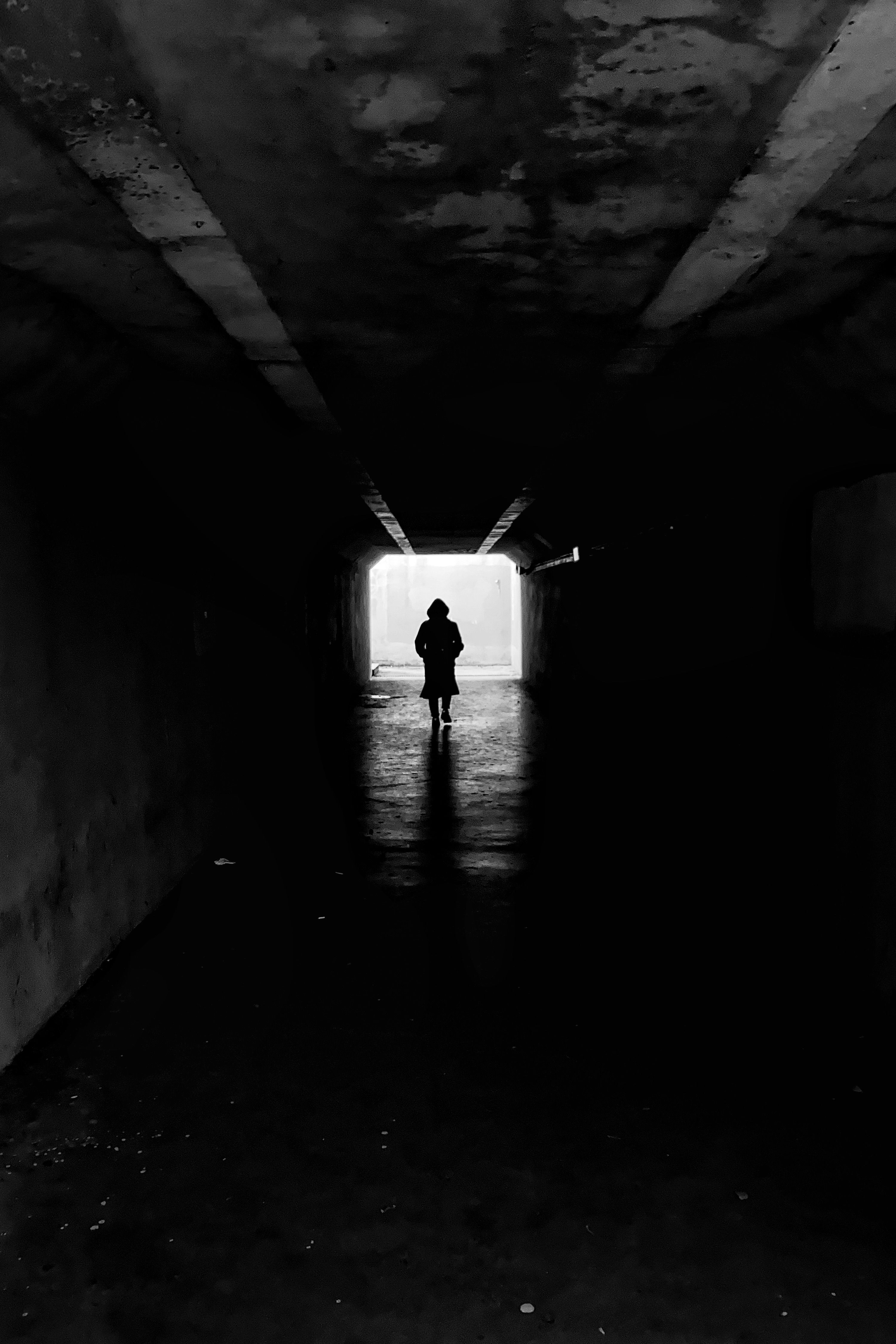 Foto profissional gratuita de andando, assustador, escuro, horror, p&b ...