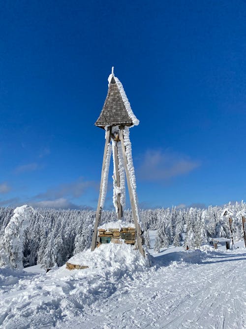 Foto profissional grátis de estrada, floresta, inverno