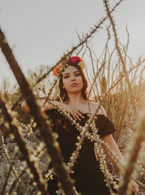 Free Young woman in a field wearing a black dress and a flower crown, surrounded by plants during sunset. Stock Photo