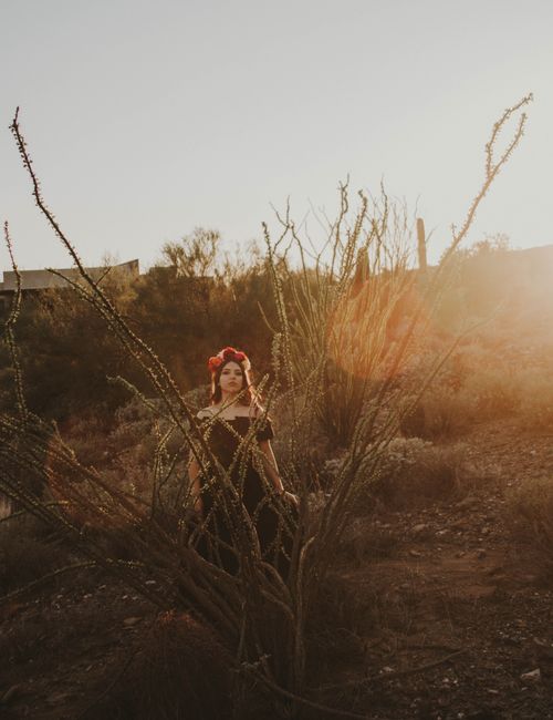 Free A woman in a dress poses in a desert setting, surrounded by plants and sunlight flare. Stock Photo