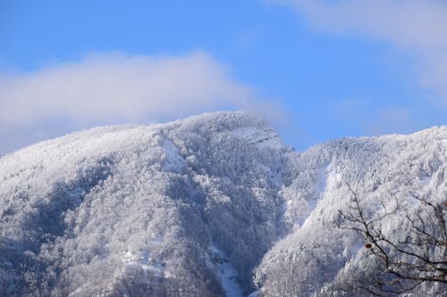 冬季, 冷, 地質學 的 免費圖庫相片