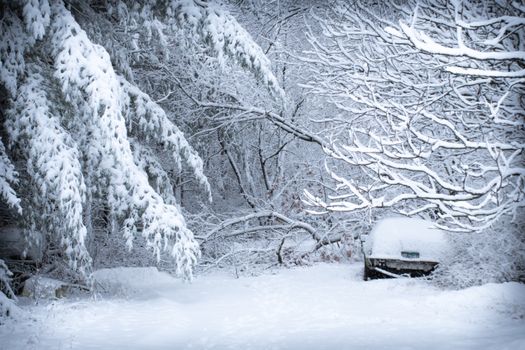 Abandoned car buried in snow amidst a serene winter forest with heavy snowfall.