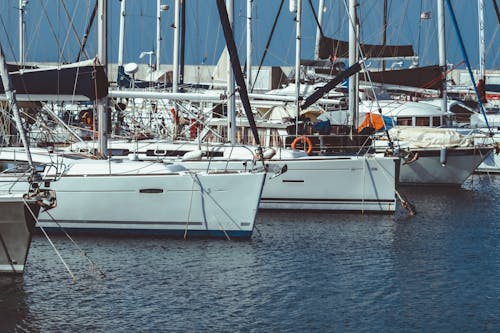 Sailboats Moored in Marina