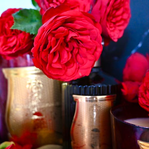 Arranjo de rosas vermelhas para presente em Dourados MS