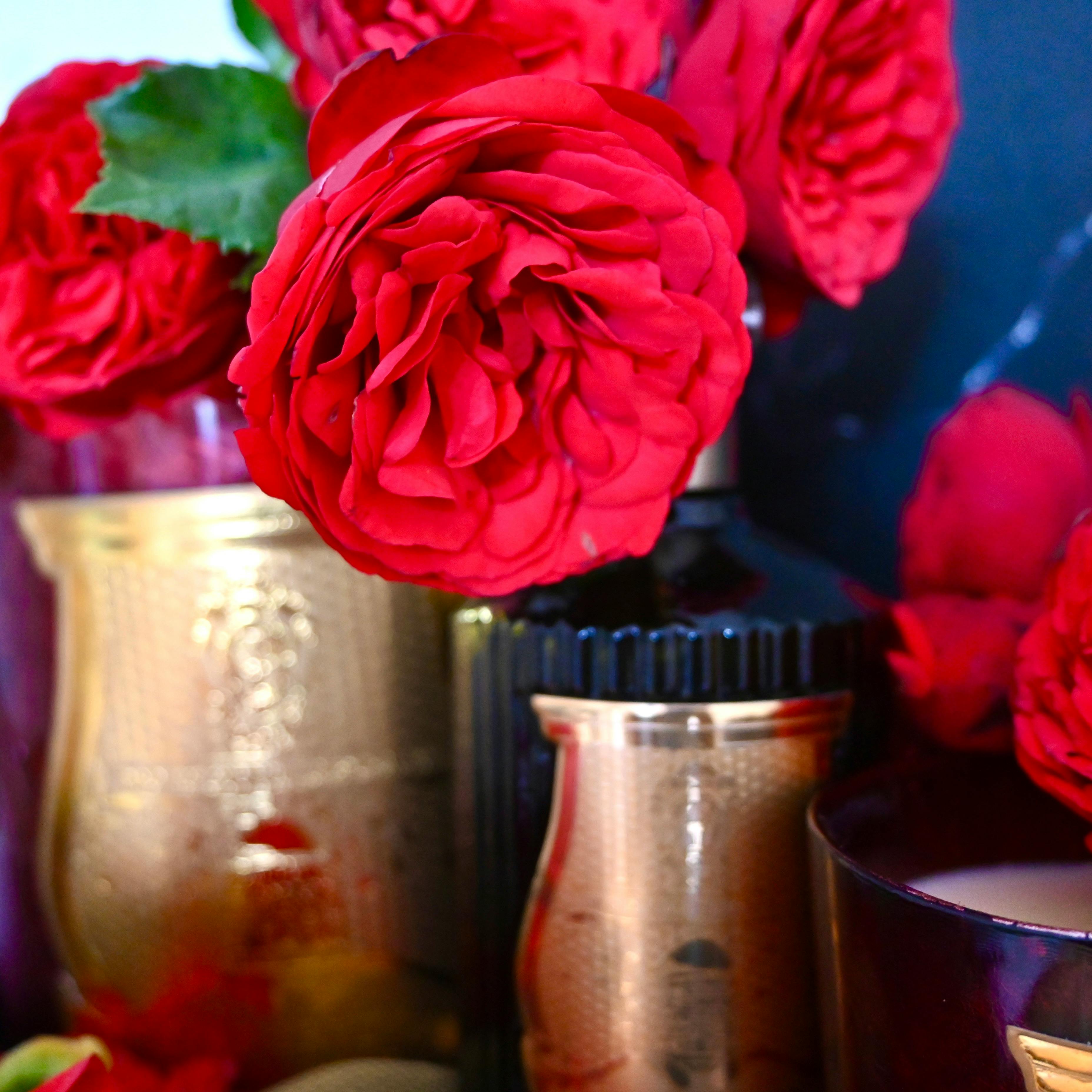 Black Bottles on Round Coasters · Free Stock Photo