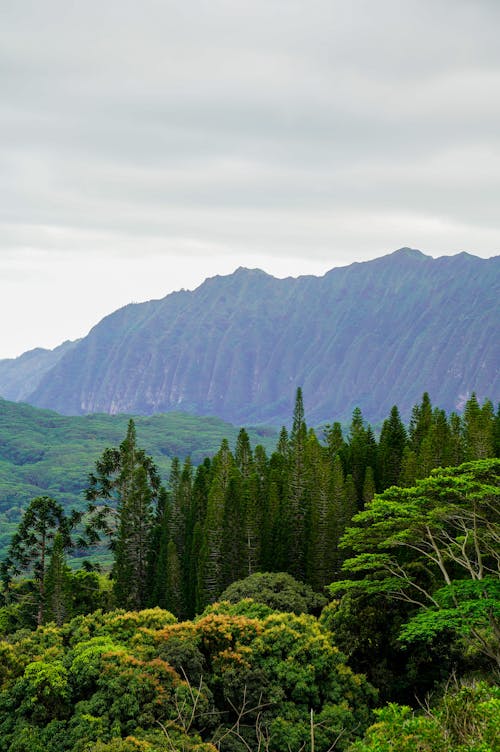 Foto stok gratis alam, Amerika Serikat, hawaii