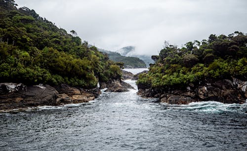 Forest and Rocks around River