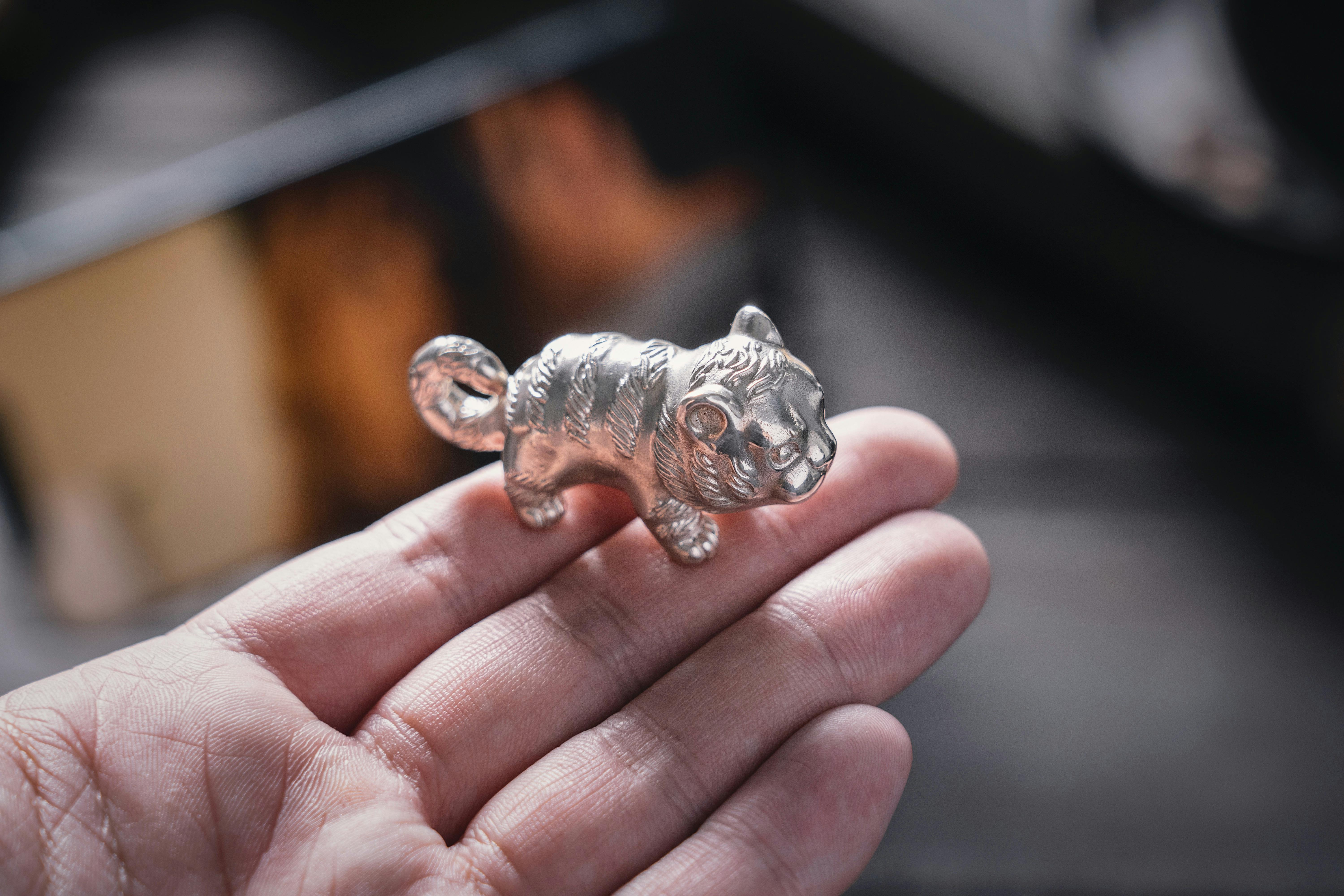 Tiger Shark Photos, Download The BEST Free Tiger Shark Stock Photos