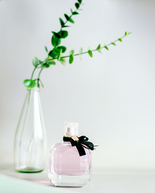 Free Close-up of a perfume bottle with delicate greenery in a vase against a soft white background. Stock Photo