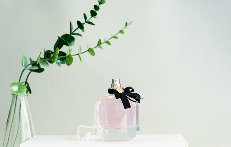 Perfume Vial With Ribbon Near Plant In Vase