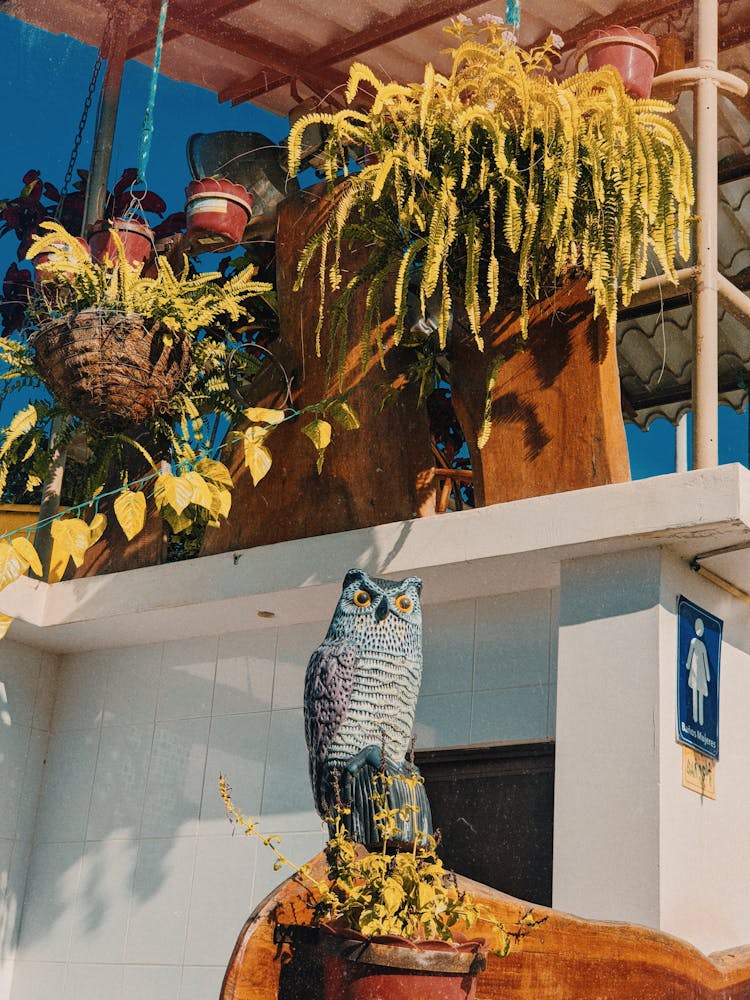 Owl Statue Among Potted Plants