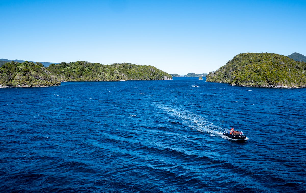 User scrolling through recommendation-based social media feed on a smartphone