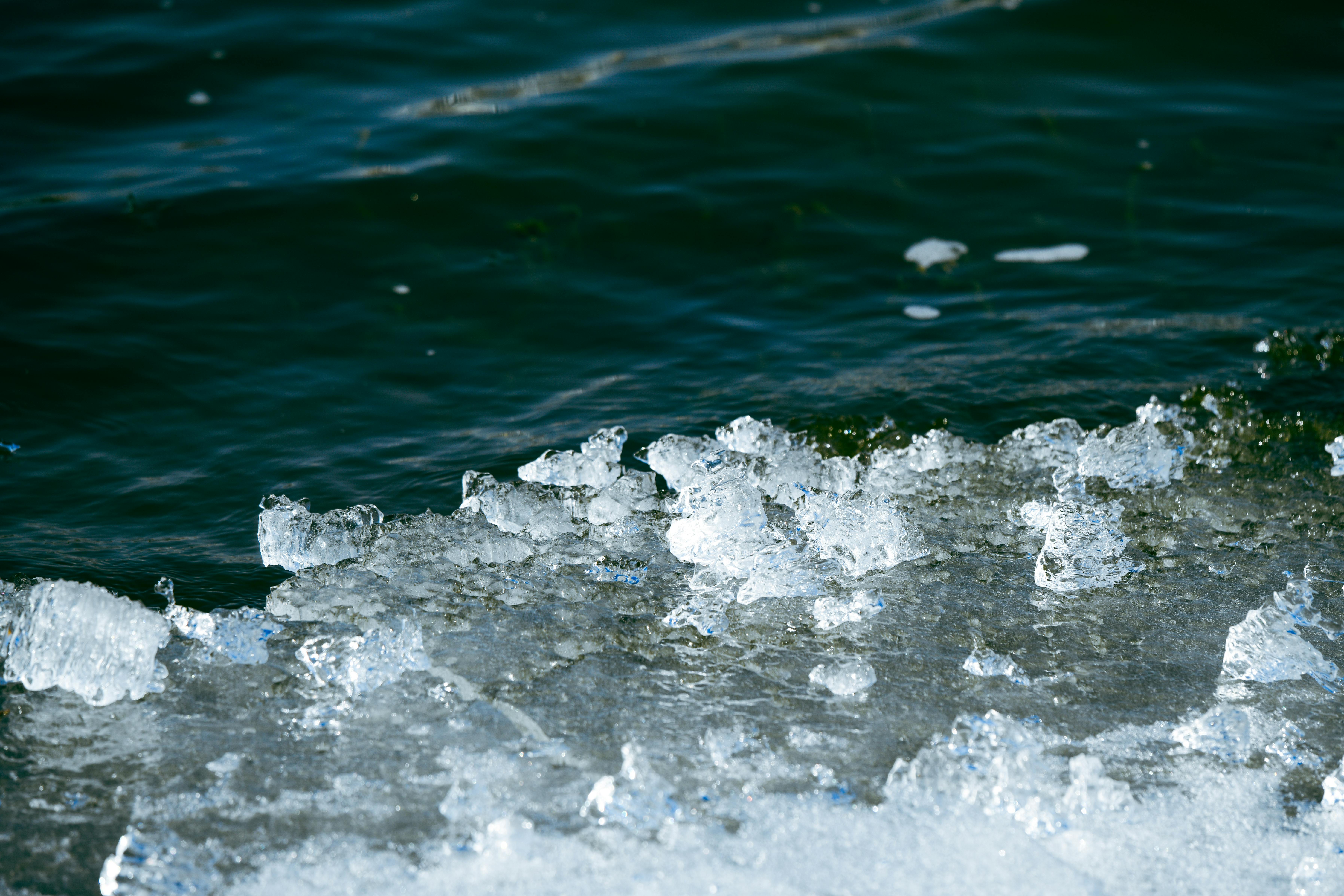 ICE, Climate Bonds Initiative Partner to Strengthen Sustainable Bond Data Transparency — Photo by Suki Lee on Pexels
