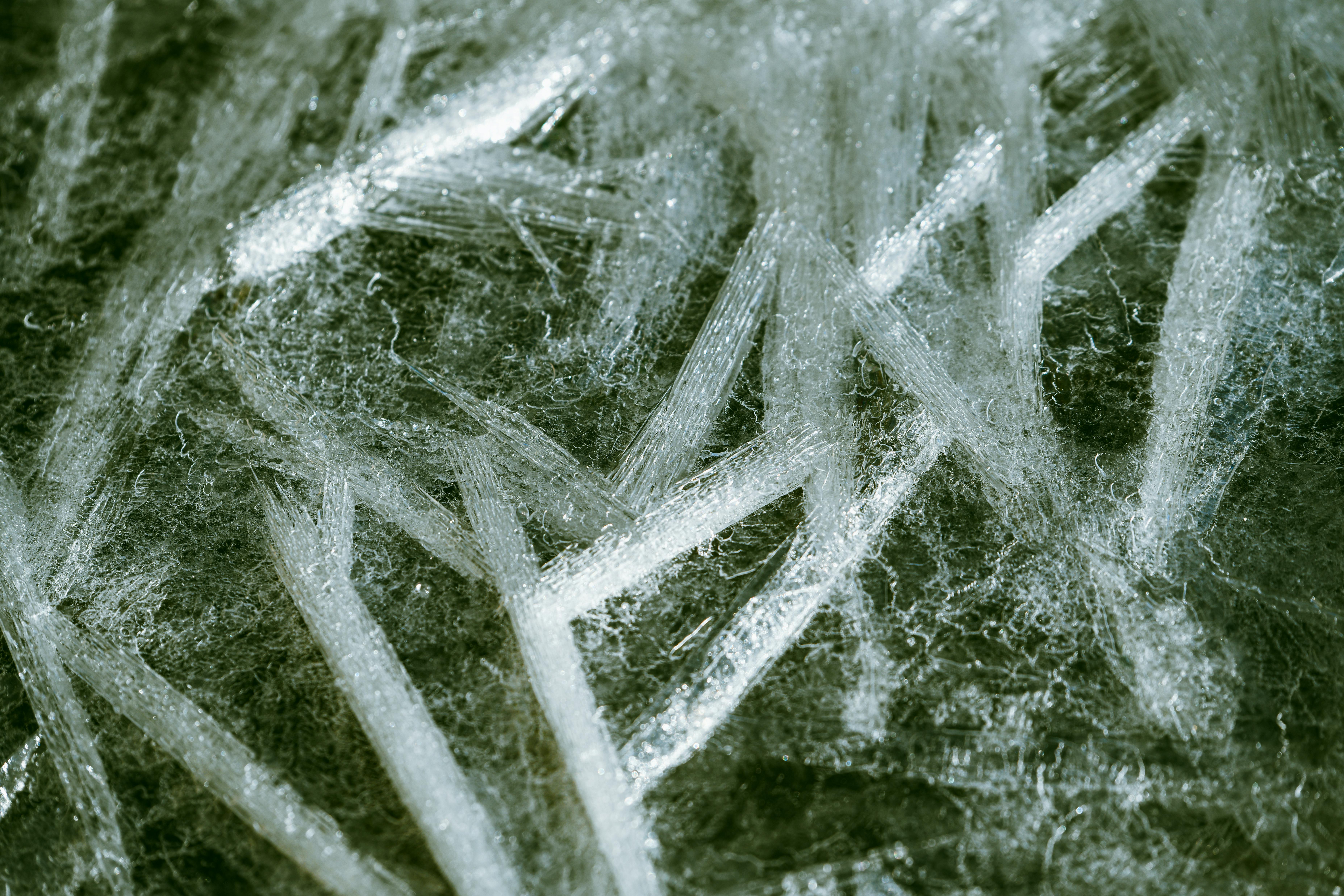 Unveiling Hidden Patterns in Nature