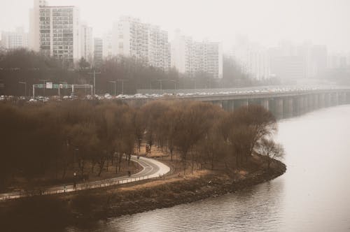 Fog over River in City
