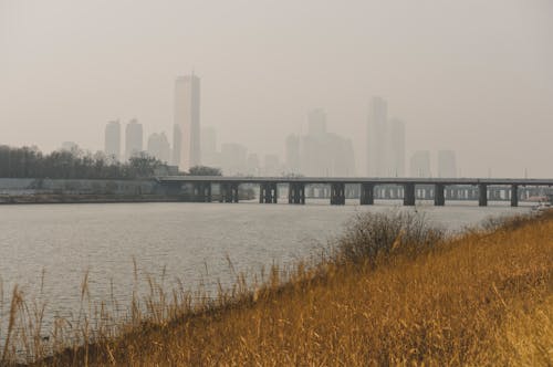 bezplatná Základová fotografie zdarma na téma břeh řeky, města, město Základová fotografie