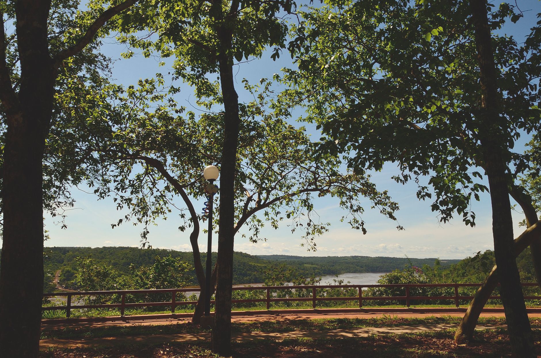Breathtaking summer view of a rural park with lush trees and scenic landscape in El Dorado, Misiones, Argentina.