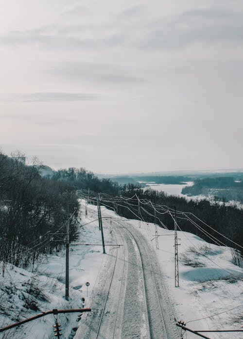 Immagine gratuita di alberi, cielo coperto, ferrovia