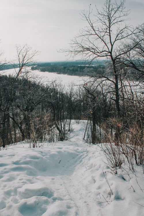Free A tranquil winter scene showcasing a snowy forest pathway with barren trees. Stock Photo