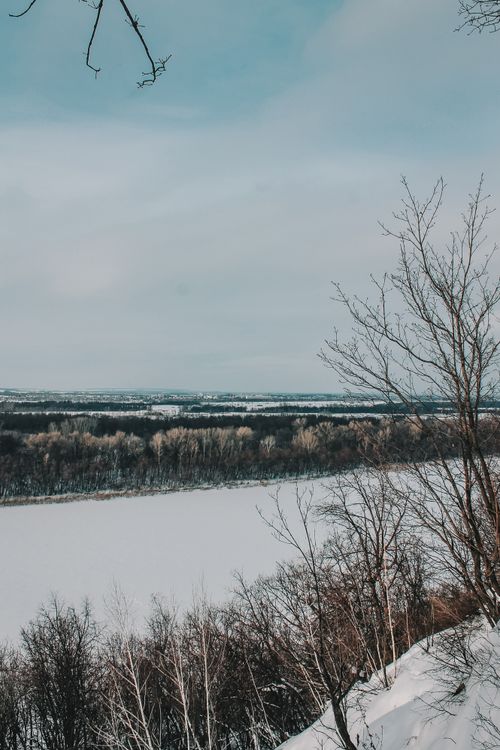 Free Serene snowy river landscape surrounded by trees, showcasing winter's beauty. Stock Photo