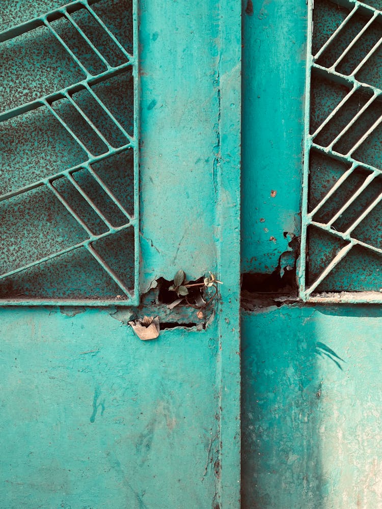 Close Up Of Abandoned Door