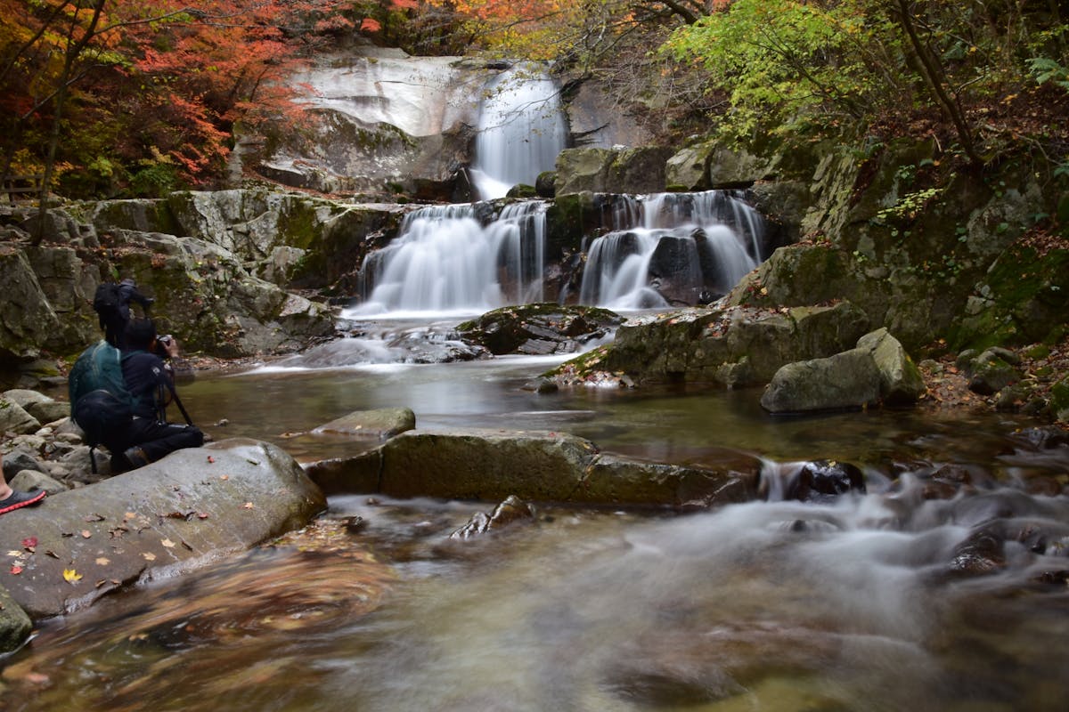 Person holding a smartphone with TikTok open, symbolizing algorithmic content discovery