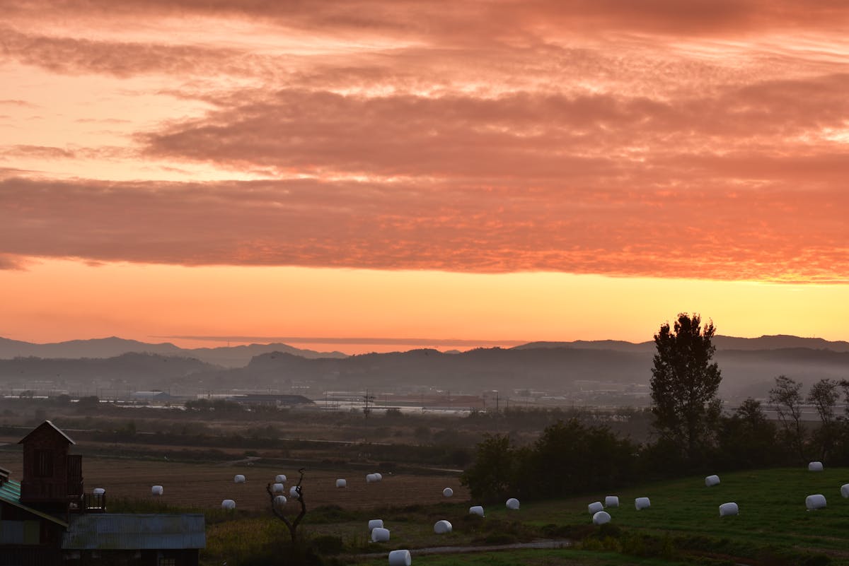 Stylized human head silhouette with circuitry symbolizing human-AI collaboration