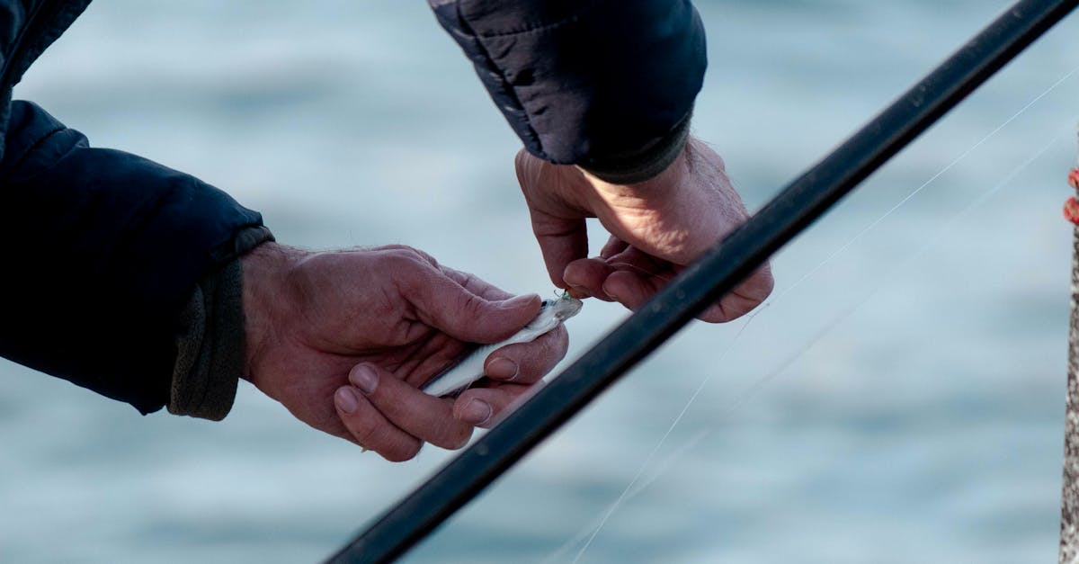 Angler Fishing: Navigating Change in a Competitive Environment