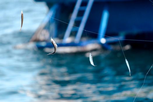 Several small fish hanging on a fishing line over a blurred background of sea water and a boat.