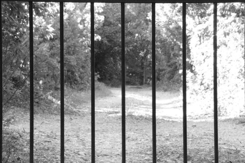 Free A dirt road through a forest seen through iron bars in black and white. Stock Photo