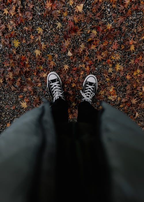 Shoes of a Person Standing on Fallen Leaves