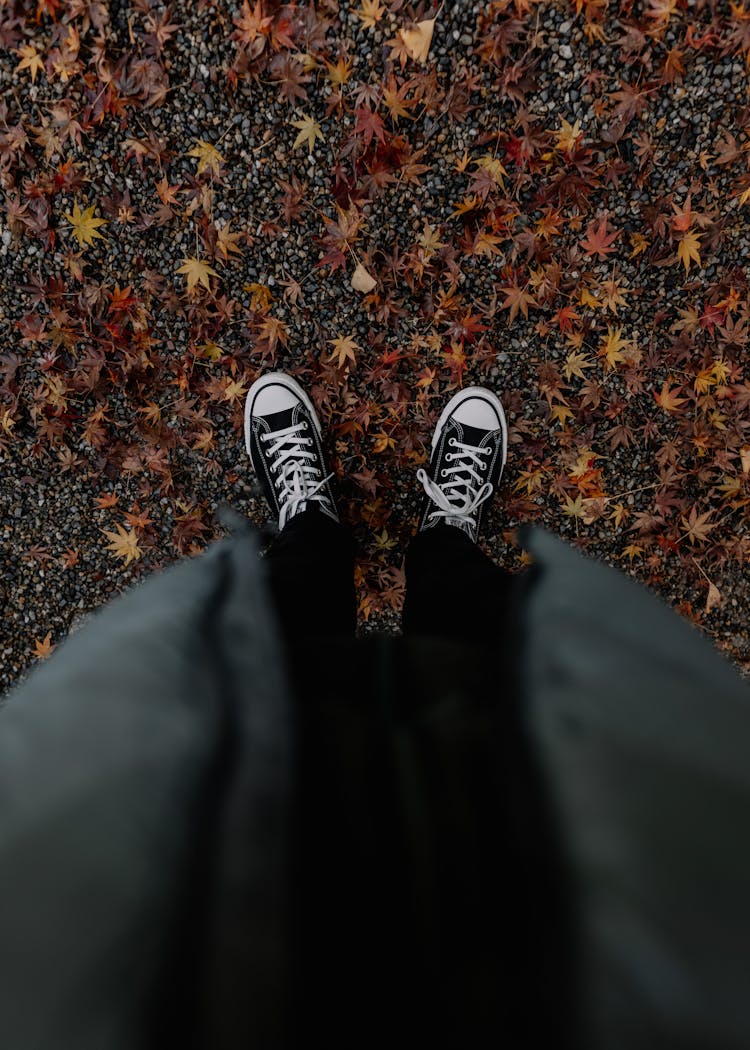 Shoes Of A Person Standing On Fallen Leaves