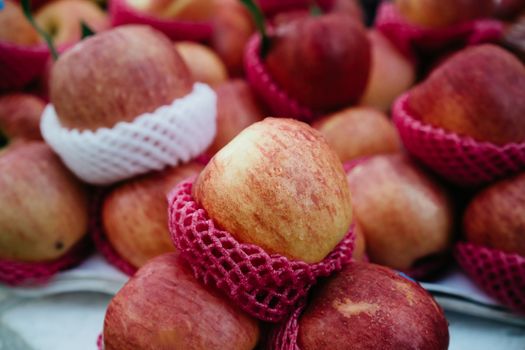 Free stock photo of agriculture, alimentary, apple