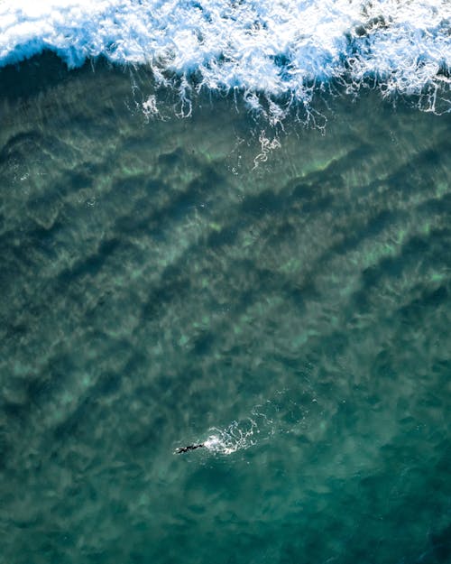 Aerial View of Person Swimming in Ocean