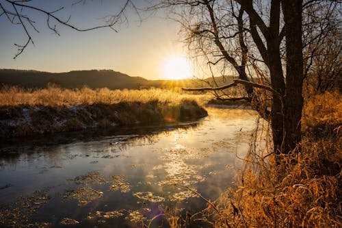 Scenic Autumn Landscape at Sunset 