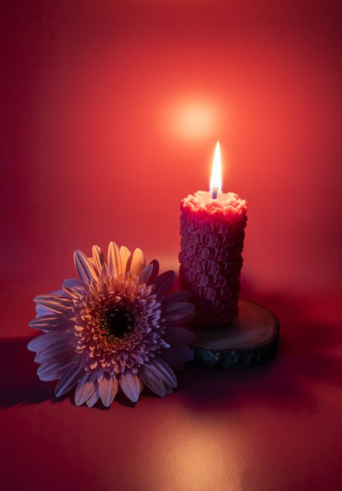 Free Cozy still life of a burning candle and pink daisy on a wooden base, perfect for calm settings. Stock Photo