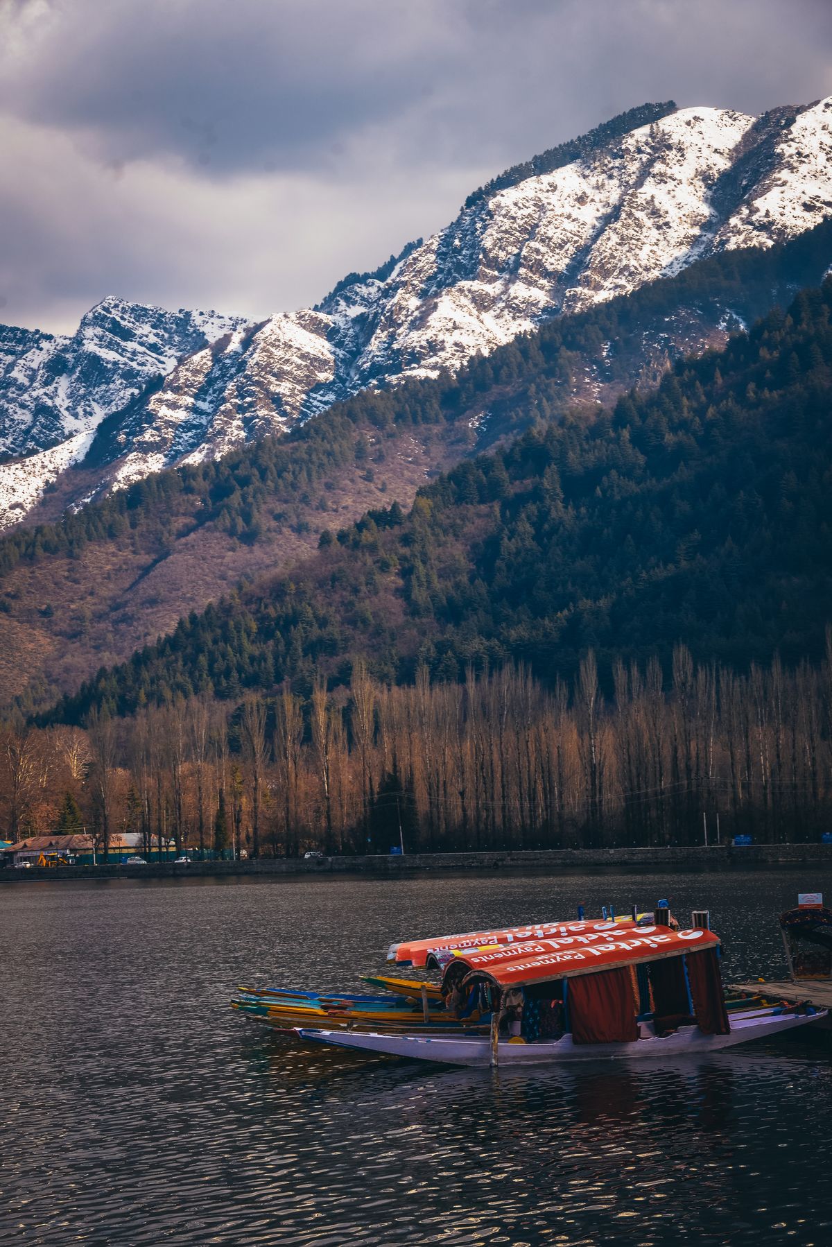 Kashmir gallery 1