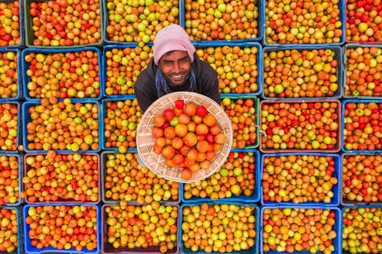 Man Holding A Basket Of Tomatoes