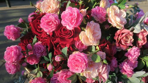 Free Roses Background Stock Photo