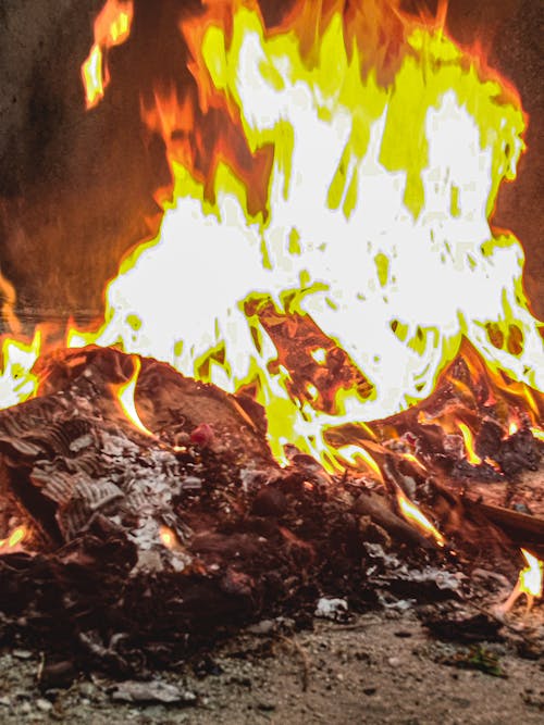 Δωρεάν στοκ φωτογραφιών με ανάβω φωτιά, καίγοντας φλόγα, καίω