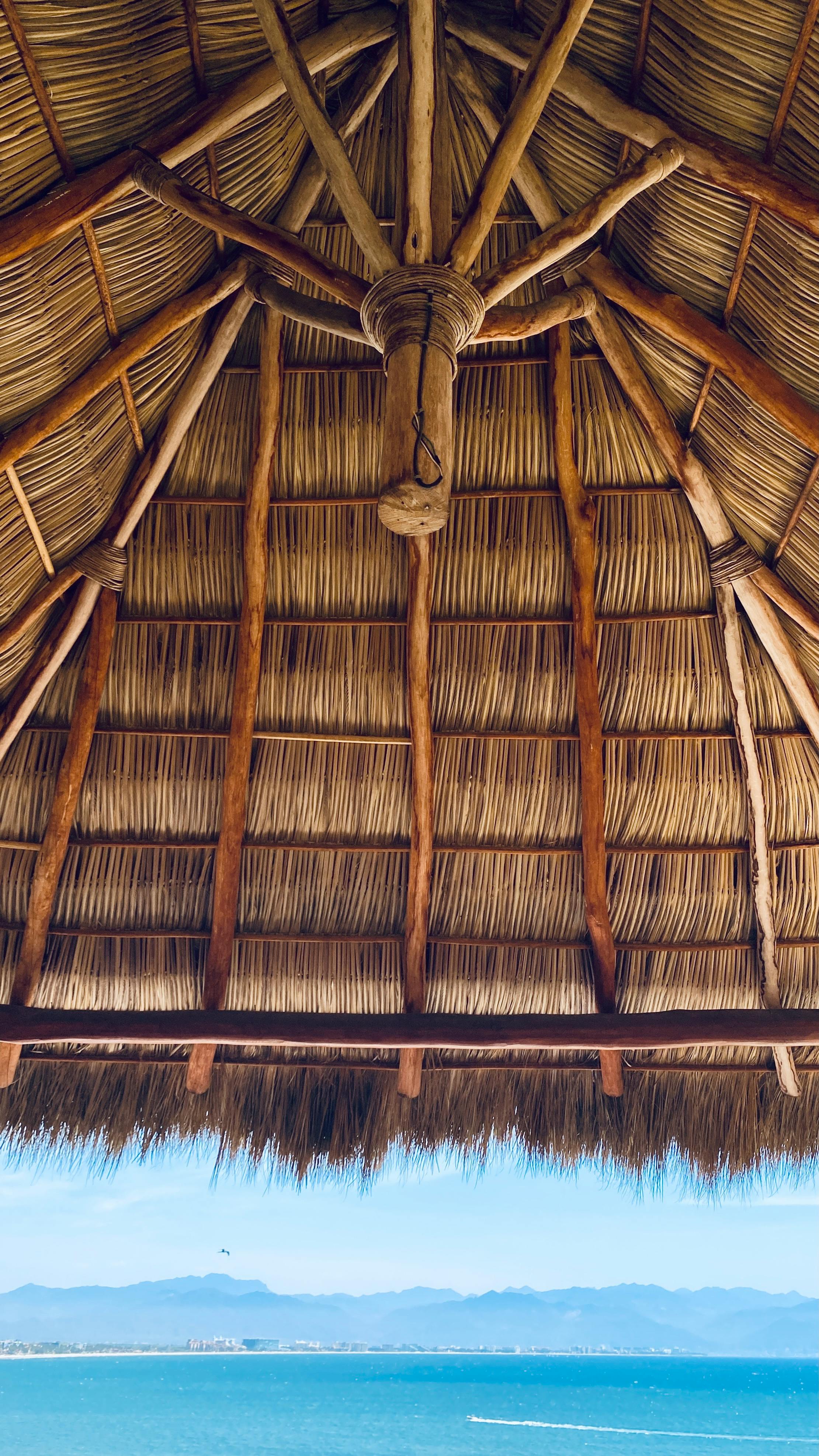 Bamboo Ceilings